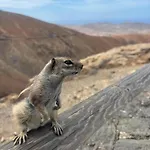 Paraiso Del Mar 科拉雷侯