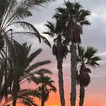 Appartement Paraiso Del Mar